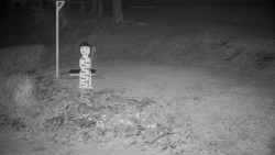 Běžecký lyžařský areál Nová Ves - horní část