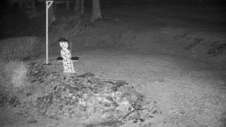 Běžecký lyžařský areál Nová Ves - horní část