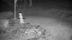 Běžecký lyžařský areál Nová Ves - horní část