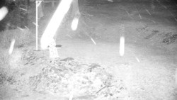 Běžecký lyžařský areál Nová Ves - horní část