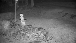 Běžecký lyžařský areál Nová Ves - horní část