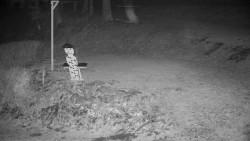 Běžecký lyžařský areál Nová Ves - horní část