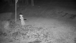 Běžecký lyžařský areál Nová Ves - horní část