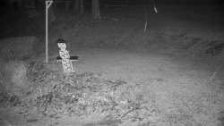 Běžecký lyžařský areál Nová Ves - horní část