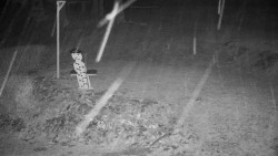 Běžecký lyžařský areál Nová Ves - horní část