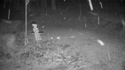 Běžecký lyžařský areál Nová Ves - horní část