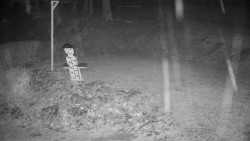 Běžecký lyžařský areál Nová Ves - horní část