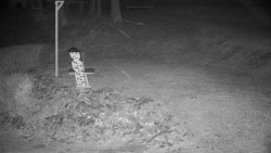 Běžecký lyžařský areál Nová Ves - horní část