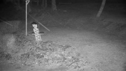 Běžecký lyžařský areál Nová Ves - horní část