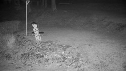 Běžecký lyžařský areál Nová Ves - horní část