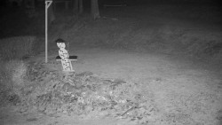 Běžecký lyžařský areál Nová Ves - horní část