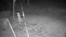 Běžecký lyžařský areál Nová Ves - horní část