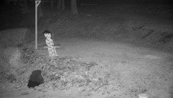 Běžecký lyžařský areál Nová Ves - horní část