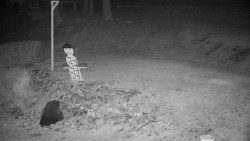 Běžecký lyžařský areál Nová Ves - horní část