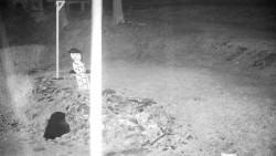 Běžecký lyžařský areál Nová Ves - horní část