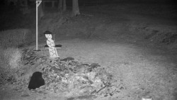 Běžecký lyžařský areál Nová Ves - horní část