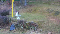 Běžecký lyžařský areál Nová Ves - horní část