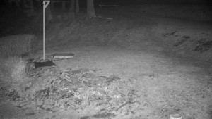 Chata Myslivna SKP Olomouc - Běžecký lyžařský areál Nová Ves - horní část - 30.3.2026 v 03:00 Chata Myslivna SKP Olomouc - Běžecký lyžařský areál Nová Ves - horní část - 30.3.2026 v 03:00