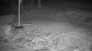 Chata Myslivna SKP Olomouc - Běžecký lyžařský areál Nová Ves - horní část - 30.3.2026 v 04:00 Chata Myslivna SKP Olomouc - Běžecký lyžařský areál Nová Ves - horní část - 30.3.2026 v 04:00