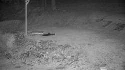 Běžecký lyžařský areál Nová Ves - horní část