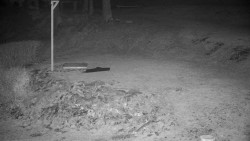 Běžecký lyžařský areál Nová Ves - horní část