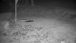 Běžecký lyžařský areál Nová Ves - horní část