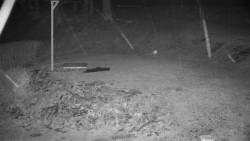 Běžecký lyžařský areál Nová Ves - horní část