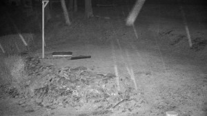 Chata Myslivna SKP Olomouc - Běžecký lyžařský areál Nová Ves - horní část - 31.3.2026 v 01:00 Chata Myslivna SKP Olomouc - Běžecký lyžařský areál Nová Ves - horní část - 31.3.2026 v 01:00