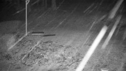 Běžecký lyžařský areál Nová Ves - horní část