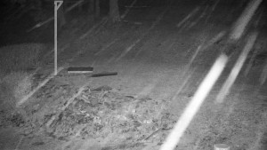 Chata Myslivna SKP Olomouc - Běžecký lyžařský areál Nová Ves - horní část - 31.3.2026 v 03:00 Chata Myslivna SKP Olomouc - Běžecký lyžařský areál Nová Ves - horní část - 31.3.2026 v 03:00