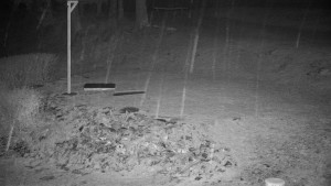 Chata Myslivna SKP Olomouc - Běžecký lyžařský areál Nová Ves - horní část - 31.3.2026 v 05:00 Chata Myslivna SKP Olomouc - Běžecký lyžařský areál Nová Ves - horní část - 31.3.2026 v 05:00