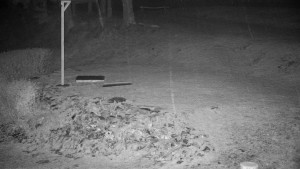 Chata Myslivna SKP Olomouc - Běžecký lyžařský areál Nová Ves - horní část - 31.3.2026 v 05:30 Chata Myslivna SKP Olomouc - Běžecký lyžařský areál Nová Ves - horní část - 31.3.2026 v 05:30