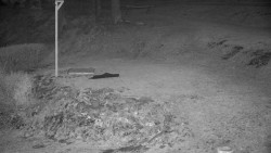 Běžecký lyžařský areál Nová Ves - horní část