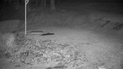 Běžecký lyžařský areál Nová Ves - horní část