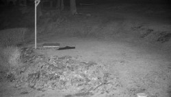 Běžecký lyžařský areál Nová Ves - horní část