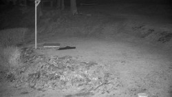 Běžecký lyžařský areál Nová Ves - horní část