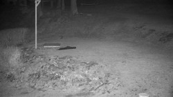 Běžecký lyžařský areál Nová Ves - horní část