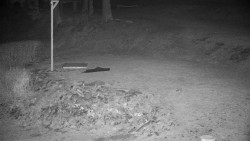 Běžecký lyžařský areál Nová Ves - horní část