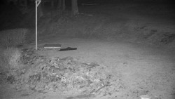 Běžecký lyžařský areál Nová Ves - horní část