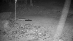 Běžecký lyžařský areál Nová Ves - horní část