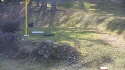 Běžecký lyžařský areál Nová Ves - horní část