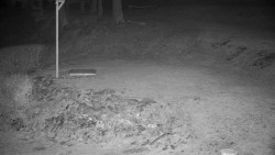 Běžecký lyžařský areál Nová Ves - horní část