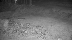 Běžecký lyžařský areál Nová Ves - horní část