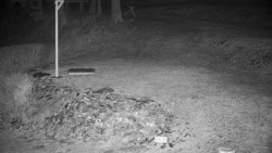 Běžecký lyžařský areál Nová Ves - horní část