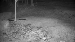 Běžecký lyžařský areál Nová Ves - horní část