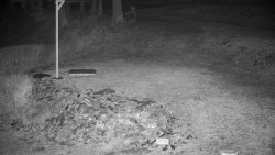 Běžecký lyžařský areál Nová Ves - horní část