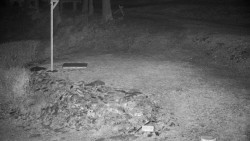 Běžecký lyžařský areál Nová Ves - horní část