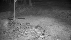 Běžecký lyžařský areál Nová Ves - horní část