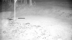 Běžecký lyžařský areál Nová Ves - horní část