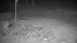 Běžecký lyžařský areál Nová Ves - horní část